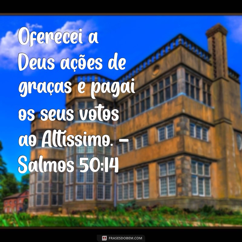 Versículos Bíblicos de Gratidão: Inspire-se com Mensagens de Agradecimento 