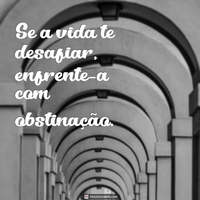 Obstinação: Como Transformar a Determinação em Sucesso Pessoal e Profissional 