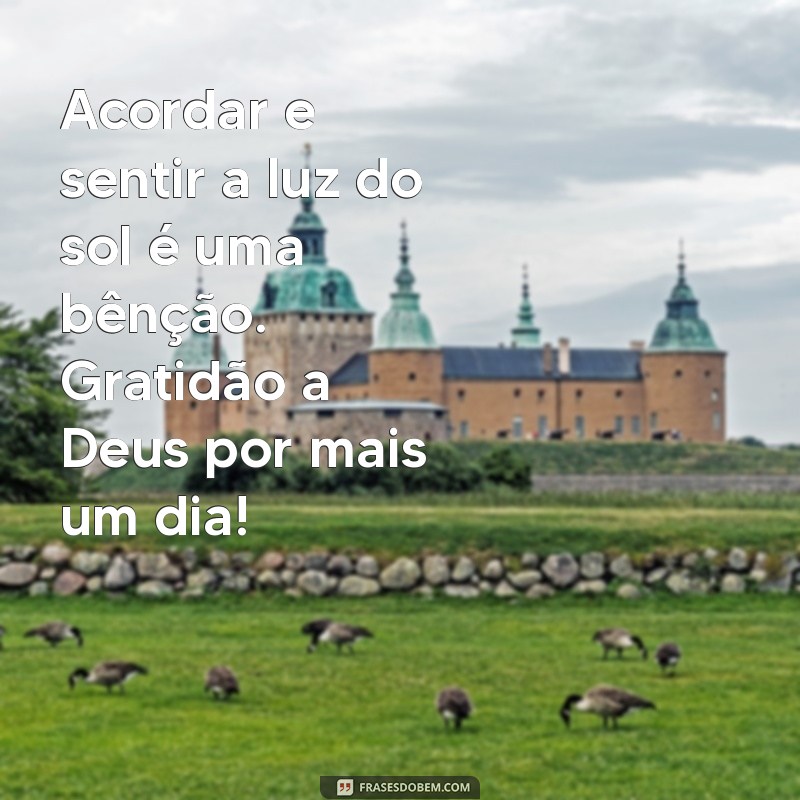 gratidão a deus pelo dia Acordar e sentir a luz do sol é uma bênção. Gratidão a Deus por mais um dia!