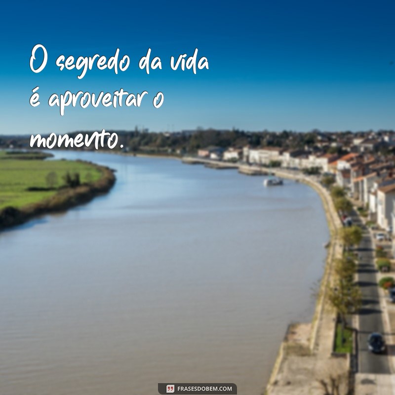 As Melhores Frases para Status do WhatsApp: Inspire e Conecte-se! 