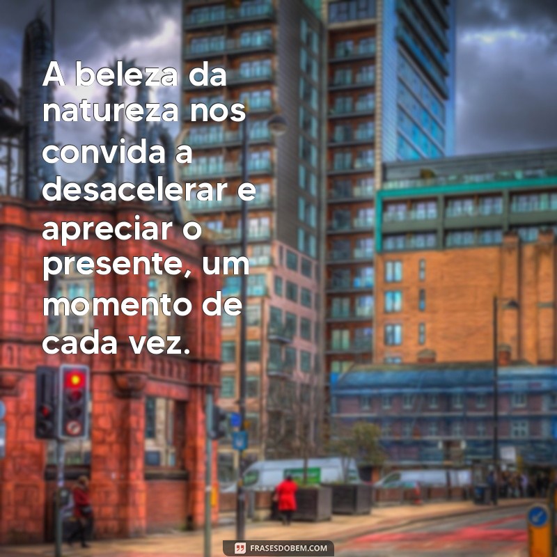 Frases Inspiradoras sobre a Beleza Natural: Celebre a Natureza com Palavras 