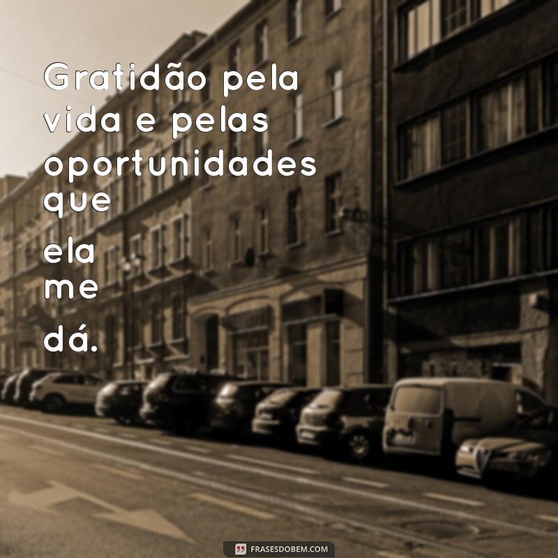 gratidao pela vida deus Gratidão pela vida e pelas oportunidades que ela me dá.