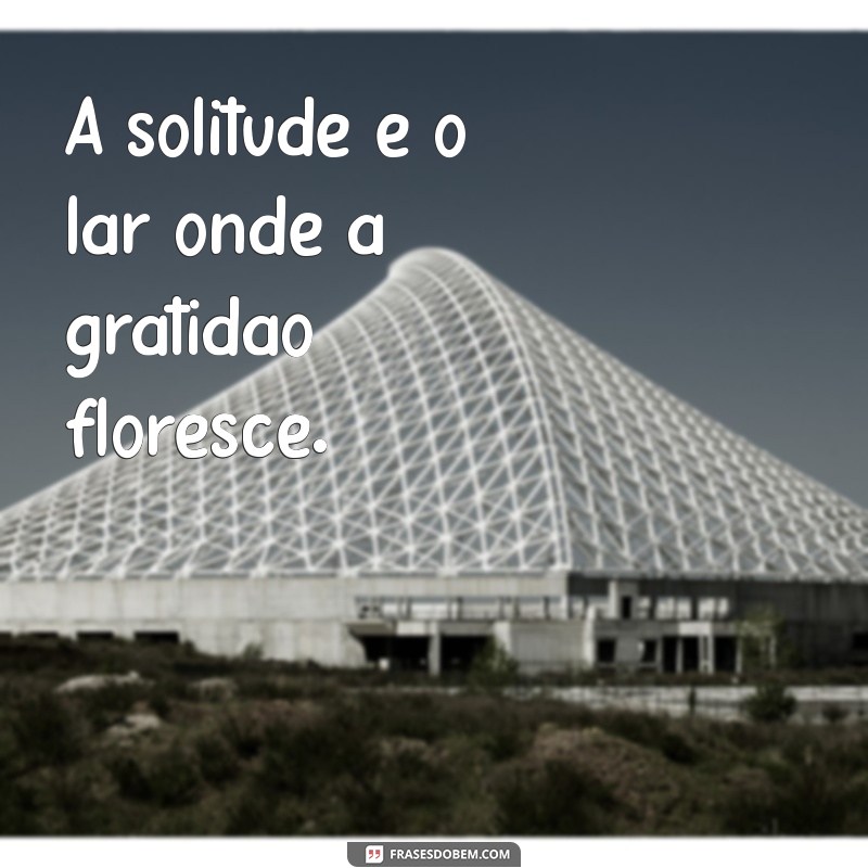 Frases Inspiradoras de Gratidão para Legendar Suas Fotos Sozinha 