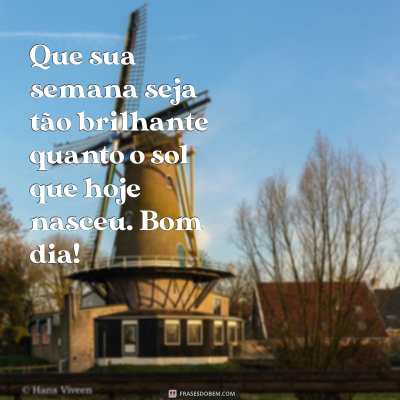 Frases Inspiradoras para um Bom Dia e uma Semana Abençoada 