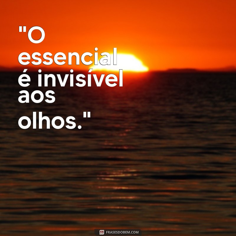 frases do livro pequeno príncipe 