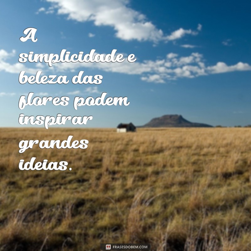 Encante-se com as mais belas frases sobre flores: inspiração para admirar a beleza da natureza 