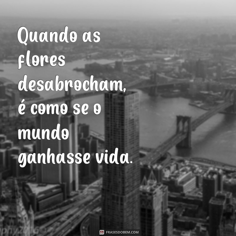 Encante-se com as mais belas frases sobre flores: inspiração para admirar a beleza da natureza 