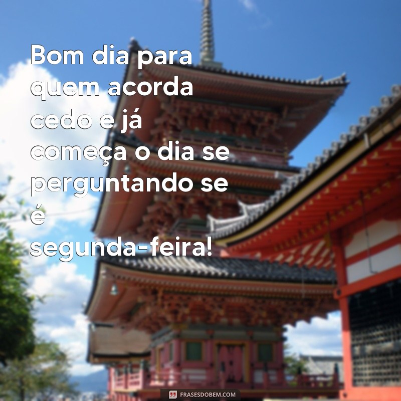 Divirta-se com as melhores frases de bom dia memes engraçados! 