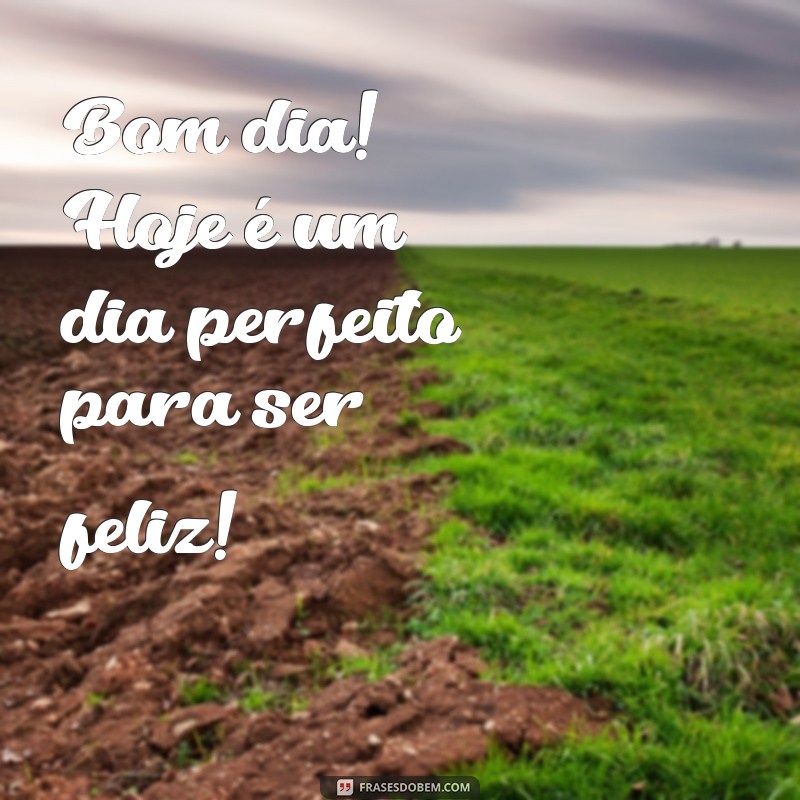 bom dia bora ser feliz Bom dia! Hoje é um dia perfeito para ser feliz!