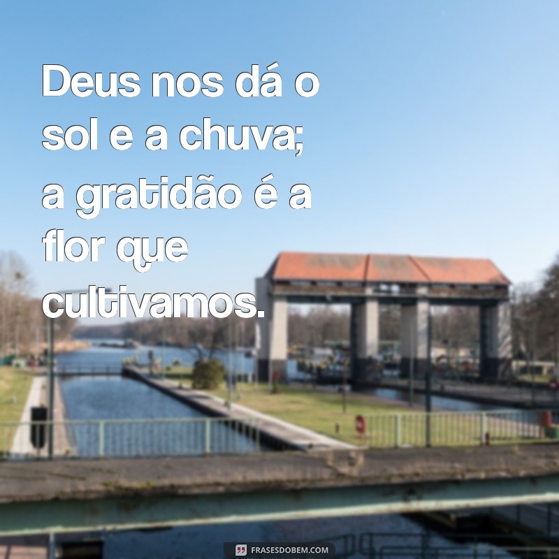 Frases de Gratidão a Deus: Inspire-se com Mensagens de Fé e Esperança 