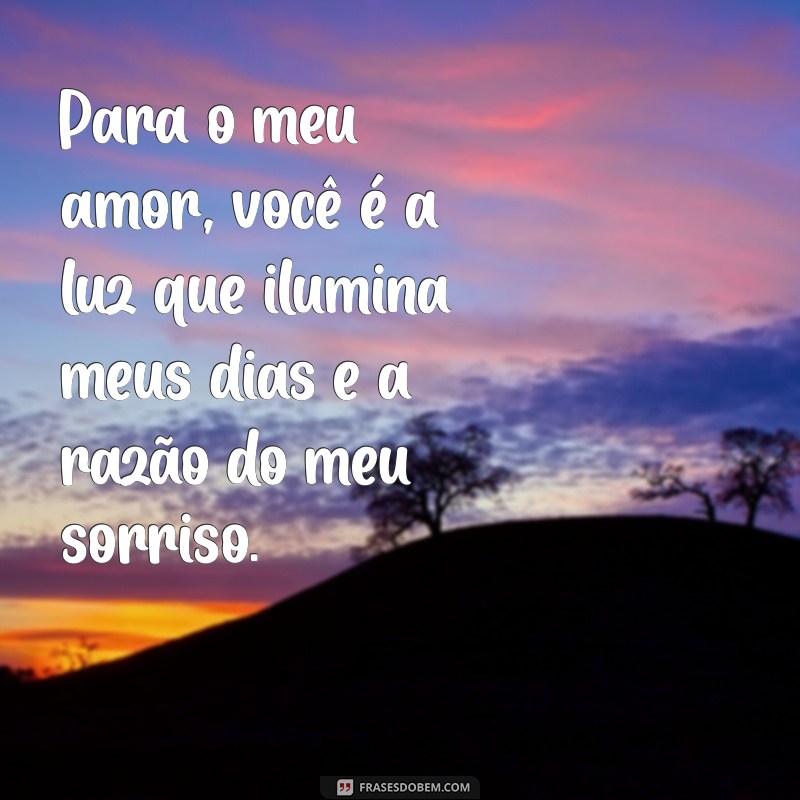 para o meu amor Para o meu amor, você é a luz que ilumina meus dias e a razão do meu sorriso.