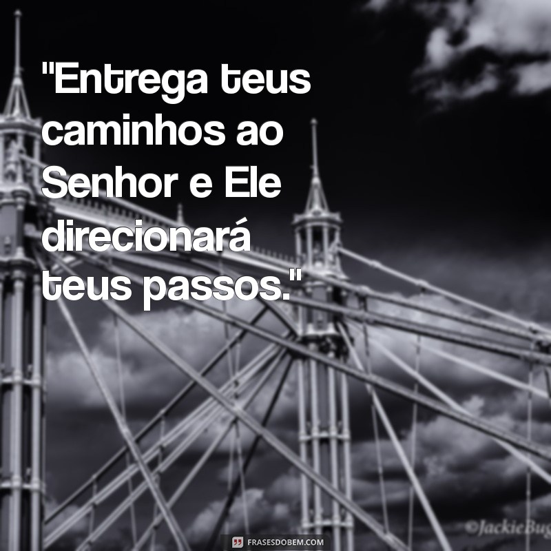 confia no senhor de todo o teu coração e não te estribes no teu próprio entendimento 