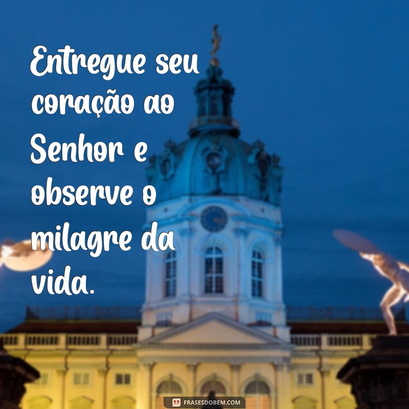 Como Confiar no Senhor de Todo o Coração: Superando o Próprio Entendimento 