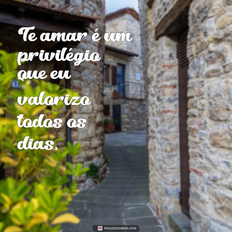 Frases Românticas para Encantar uma Pessoa Especial 