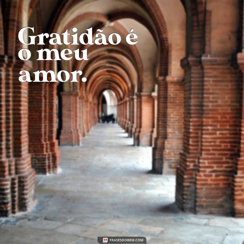 Descubra Poemas Inspiradores sobre Gratidão para Apreciar a Vida 