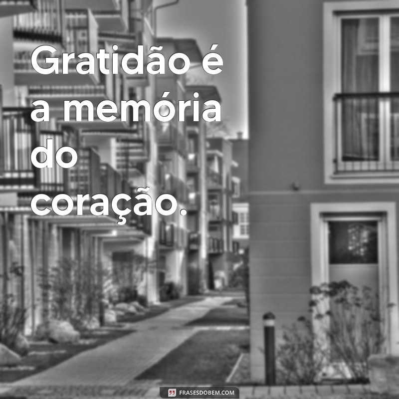 Frases Poderosas para Transformar Suas Fotos em Impacto Visual 