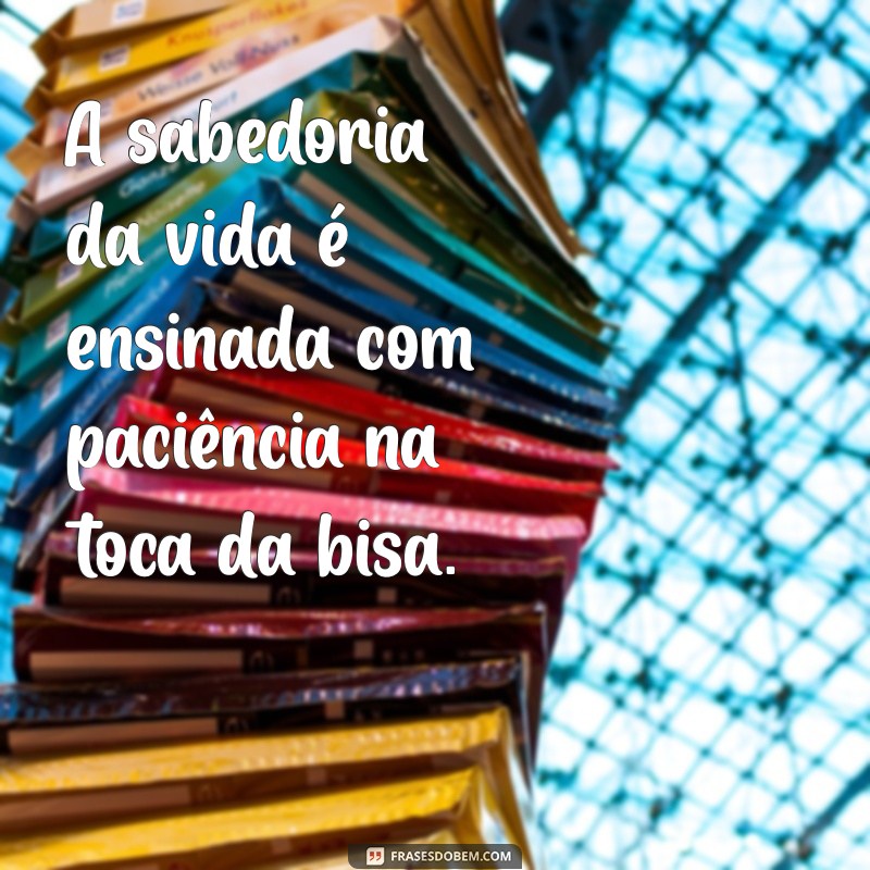 Descubra a Toca da Bisa: Um Refúgio de Tradições e Sabores 