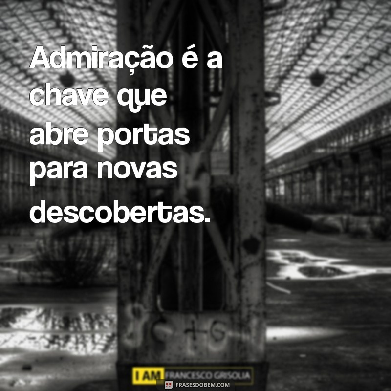 Frases Inspiradoras sobre Admiração: Celebre o Que Você Ama 