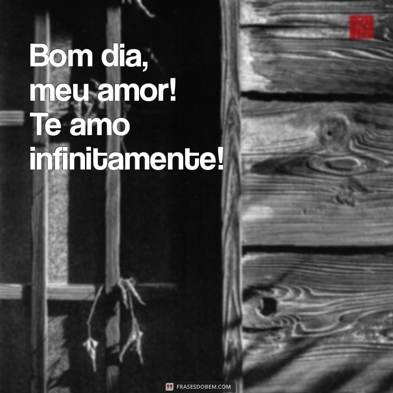 bom dia meu marido te amo Bom dia, meu amor! Te amo infinitamente!