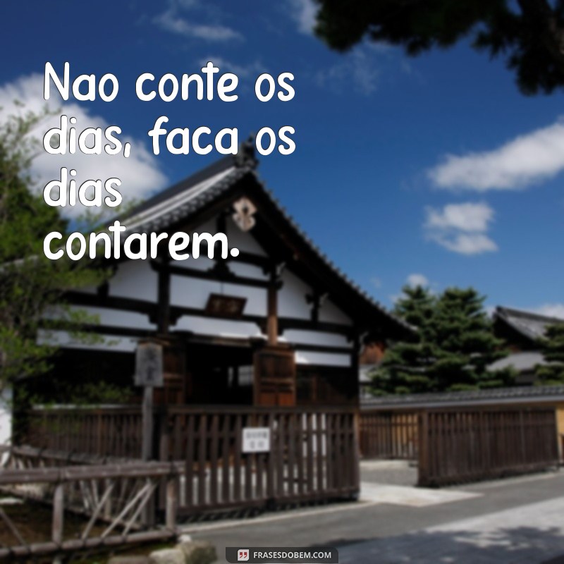 Frases Criativas para WhatsApp: Inspire suas Conversas! 