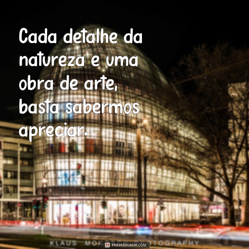 Descubra as melhores frases para legendar suas fotos de paisagens deslumbrantes 