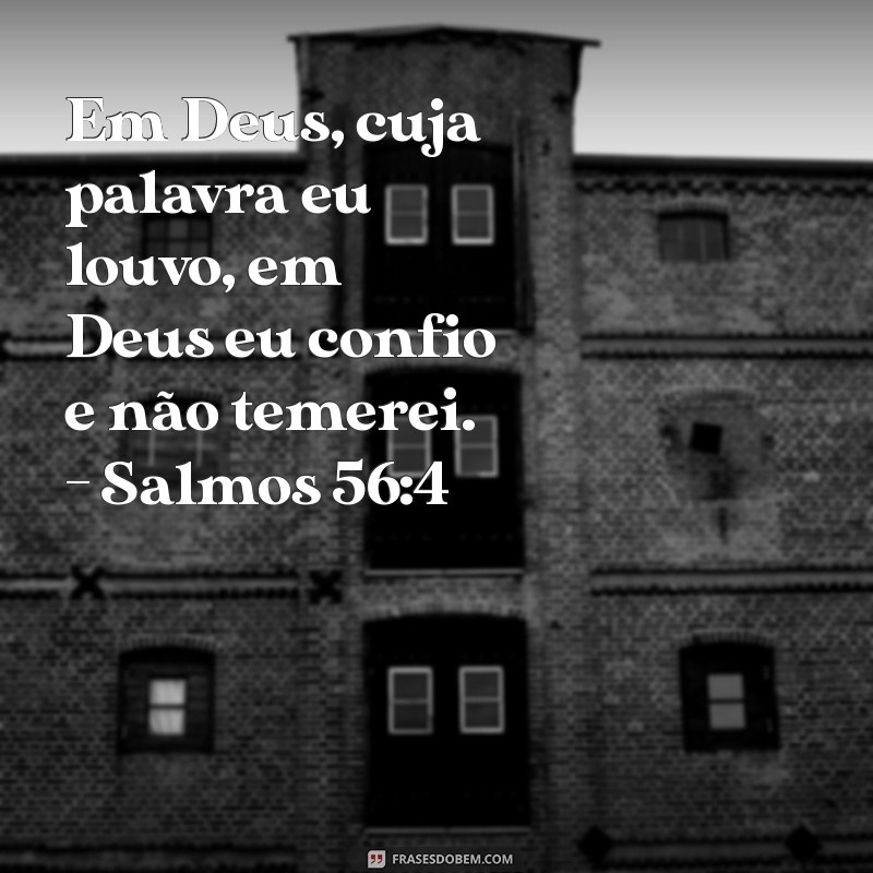 Frases Bíblicas de Esperança: Inspirações para Renovações Espirituais 