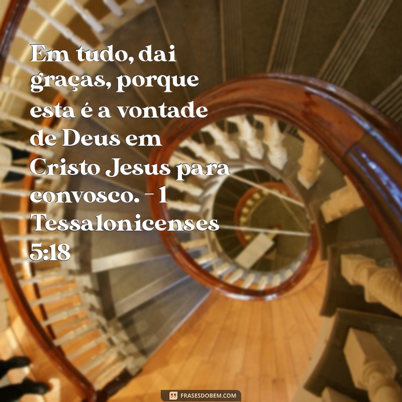 Frases Bíblicas de Esperança: Inspirações para Renovações Espirituais 