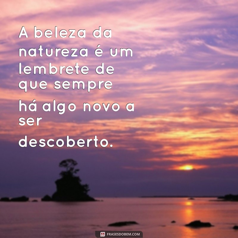 Frases Inspiradoras para Acompanhar Suas Trilhas: Conecte-se com a Natureza 