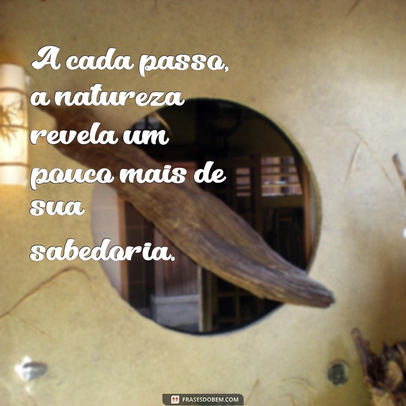 Frases Inspiradoras para Acompanhar Suas Trilhas: Conecte-se com a Natureza 