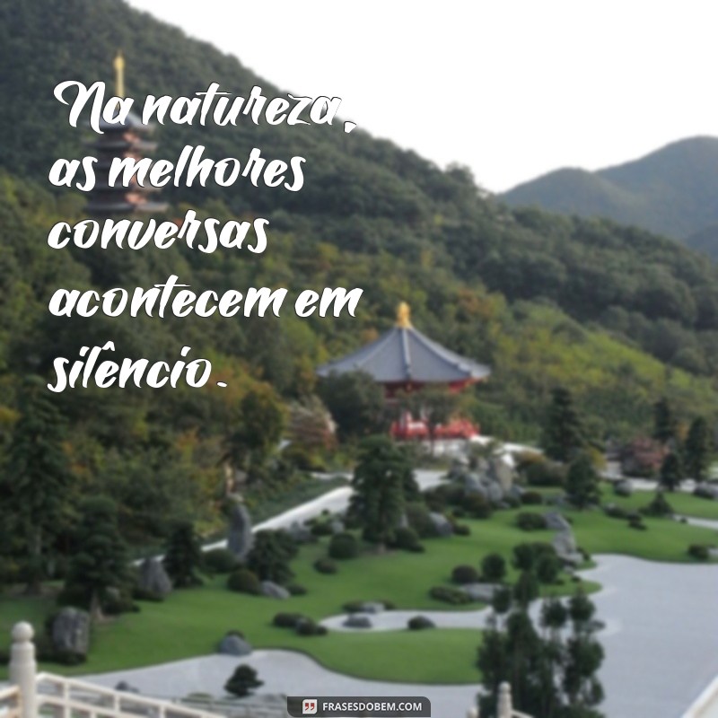 Frases Inspiradoras para Acompanhar Suas Trilhas: Conecte-se com a Natureza 