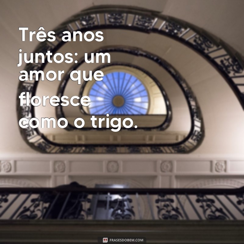 Celebrando 3 Anos de Casamento: Ideias e Significados das Bodas de Couro 