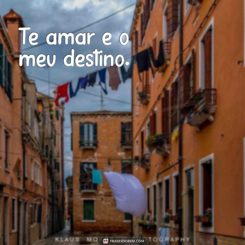 10 Fofas Frases de Amor Curtas para Encantar seu Coração 