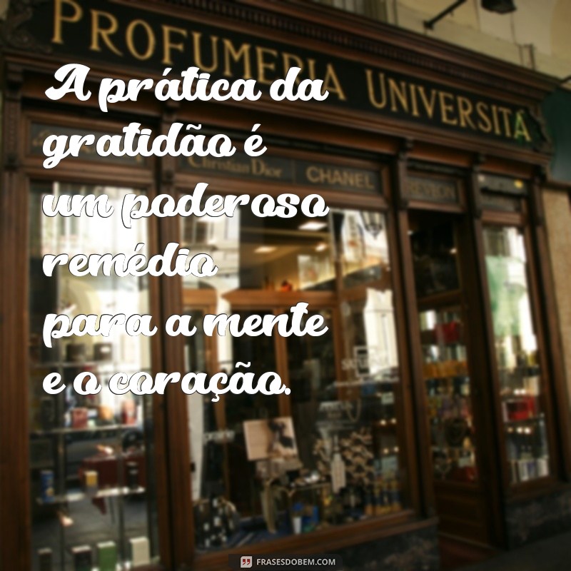 Frases Inspiradoras para Promover Saúde e Bem-Estar no Dia a Dia 