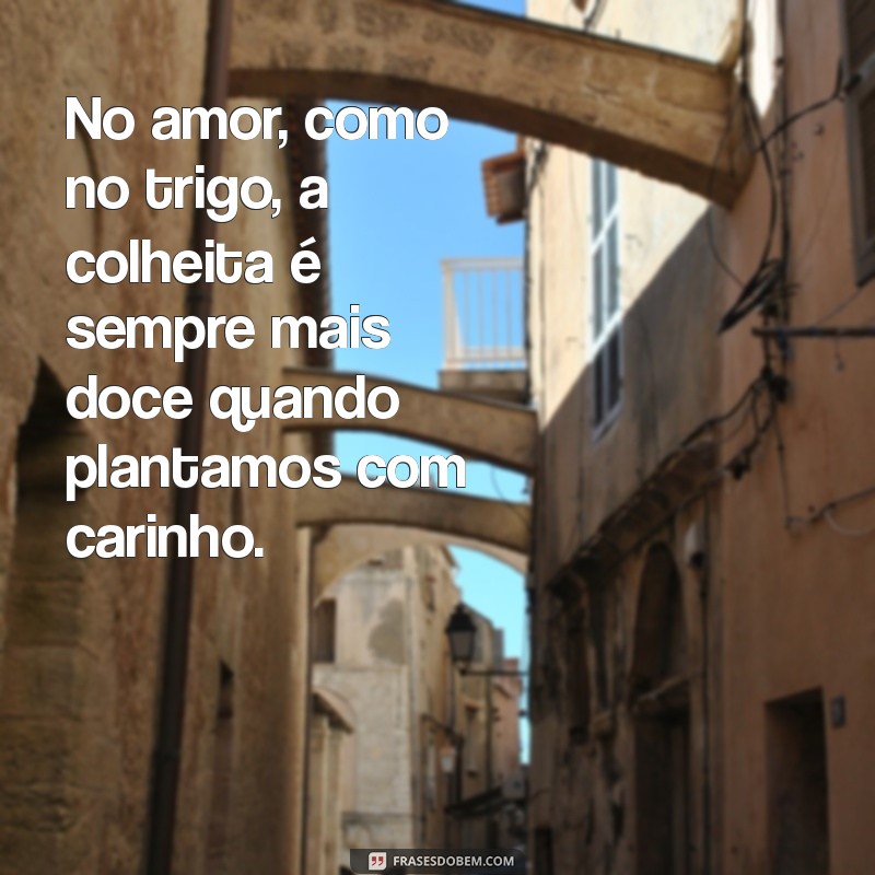 bodas de trigo No amor, como no trigo, a colheita é sempre mais doce quando plantamos com carinho.