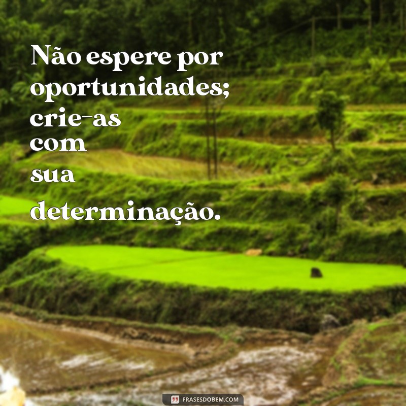 Frases Motivadoras do Dia: Inspire-se e Transforme sua Rotina 