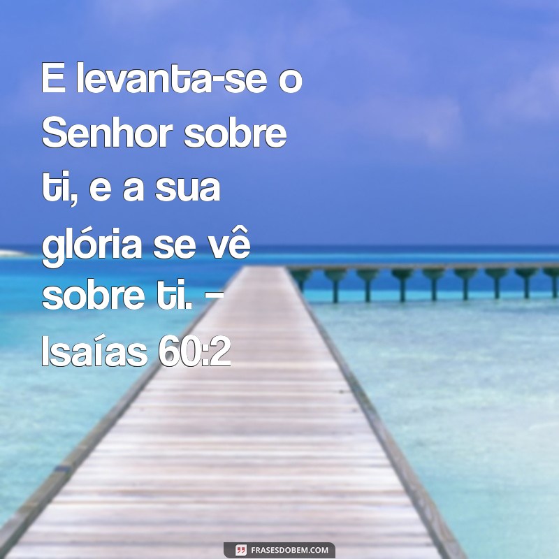 Versículos da Bíblia para um Bom Dia: Inspiração e Reflexão Diária 