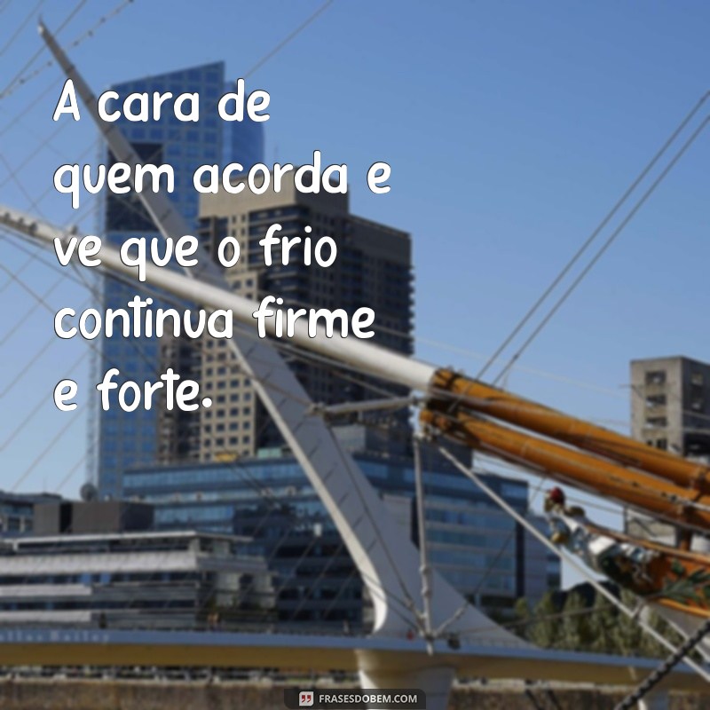 Conheça as melhores frases meme de frio para compartilhar no WhatsApp 