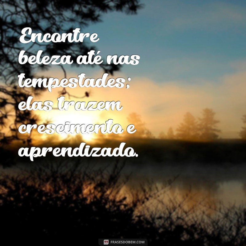 Frases Inspiradoras para Valorizar a Vida e Encontrar Felicidade 