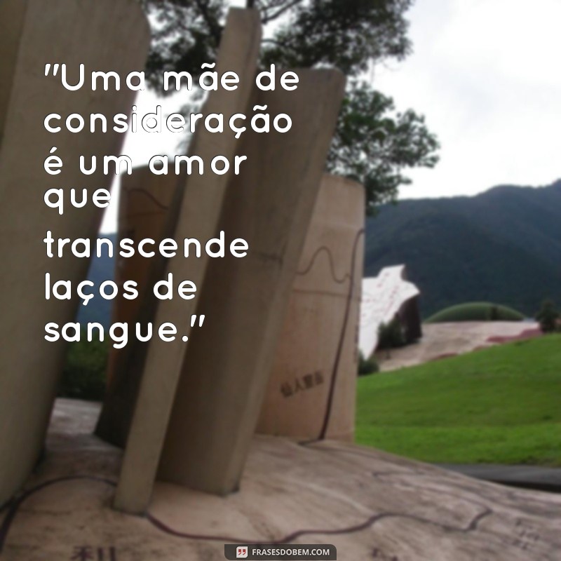 frases para mãe de consideração 