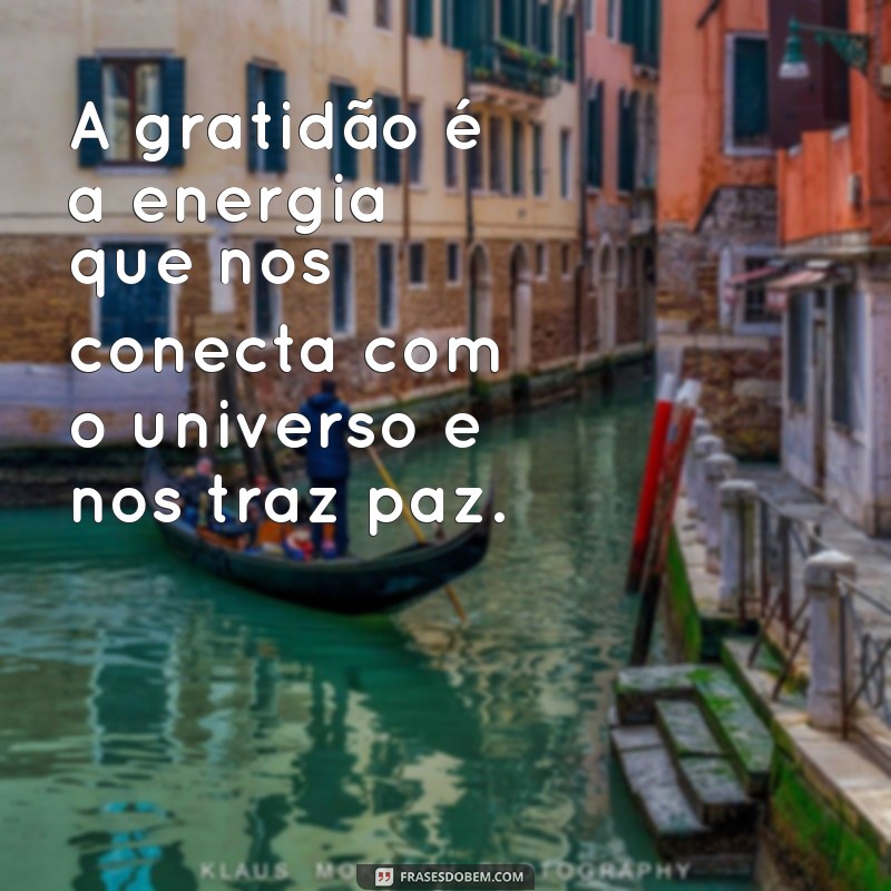 Encante-se com 20 frases de gratidão que vão aquecer seu coração 