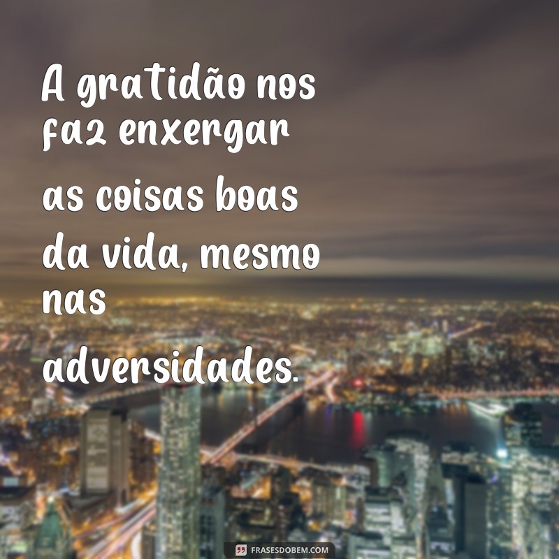 Encante-se com 20 frases de gratidão que vão aquecer seu coração 