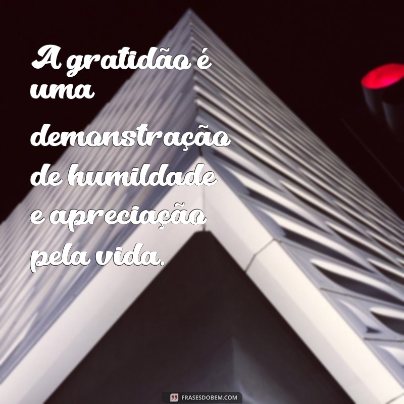 Descubra as inspiradoras frases de Daisaku Ikeda sobre gratidão 