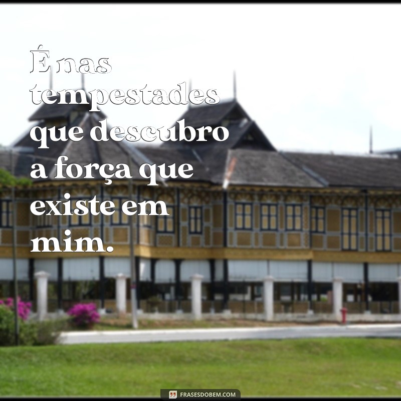 Frases Inspiradoras para Refletir sobre Minha Vida 