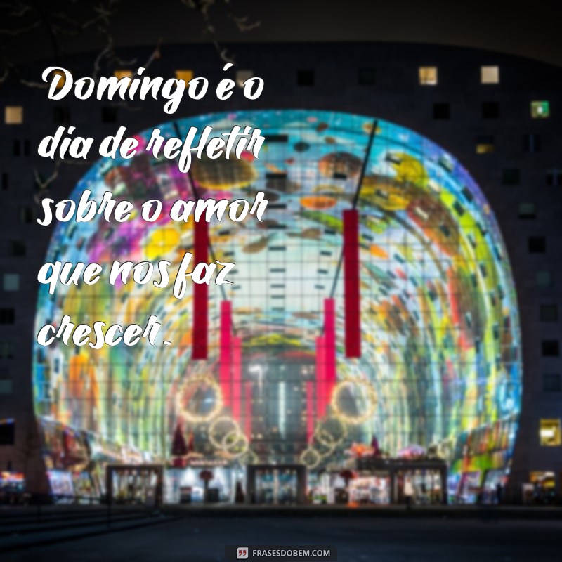 Domingo de Amor: 30 Frases Inspiradoras para Celebrar o Afeto 