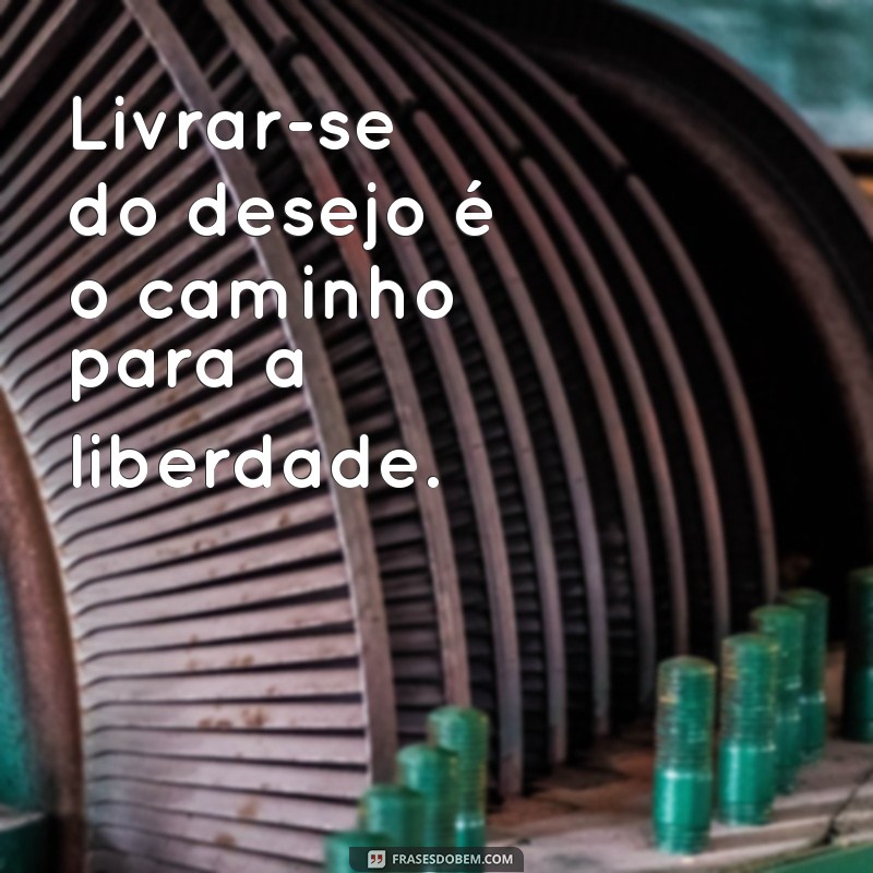 Descubra as Melhores Frases de Buda para Inspirar sua Vida 