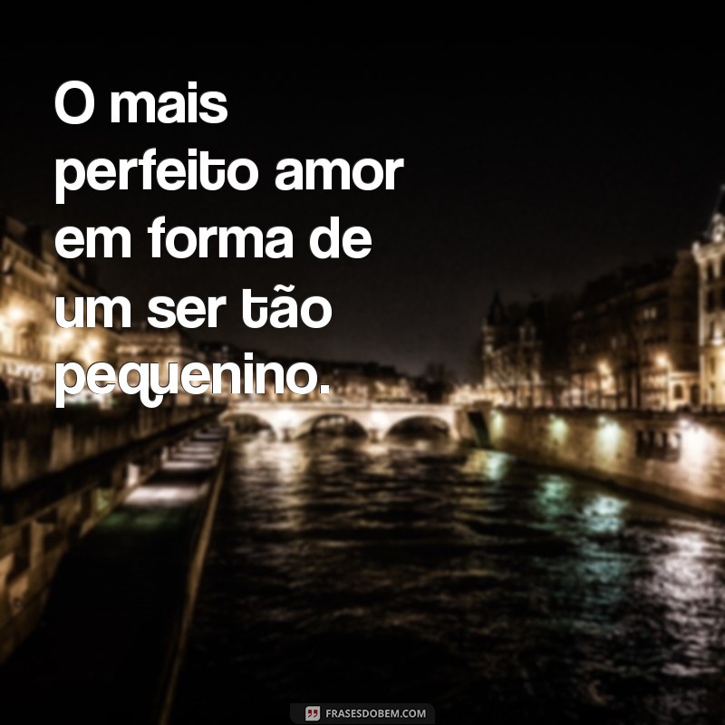 Encante com as melhores frases para foto de filho recém-nascido 