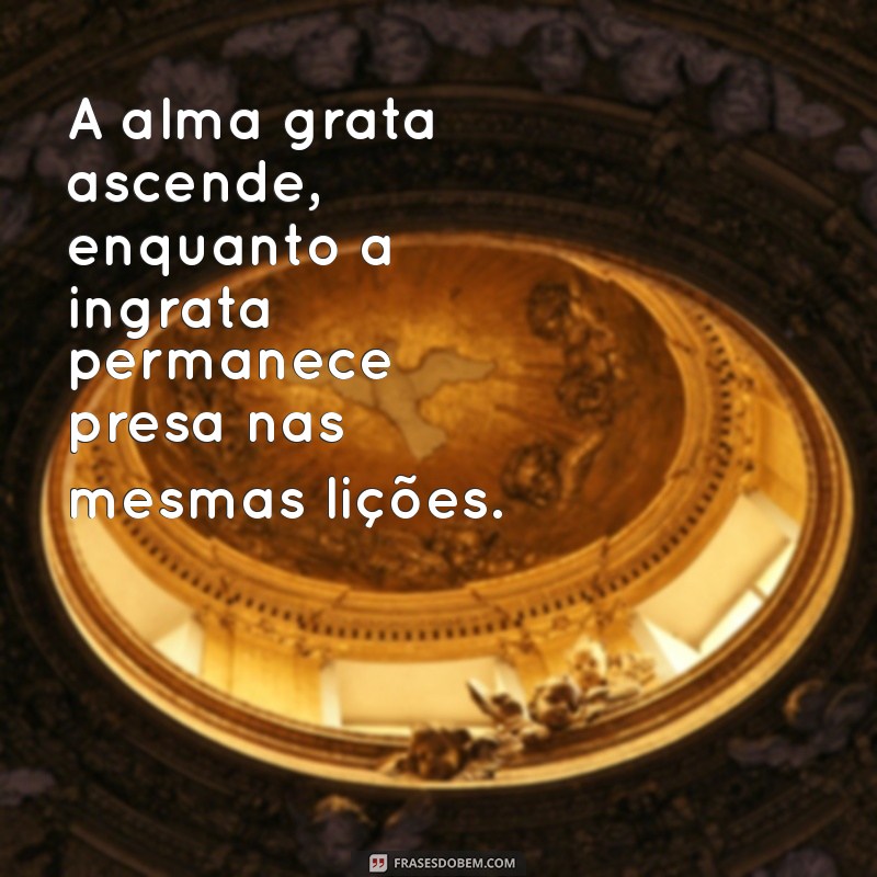 Frases Espíritas sobre Ingratidão: Reflexões para a Alma 