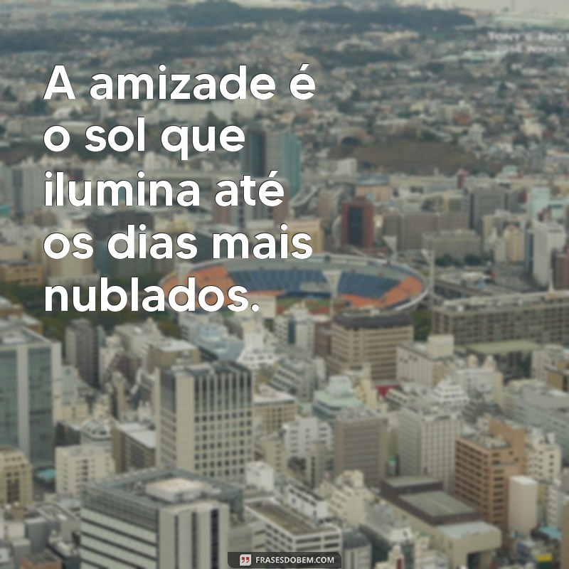 texto de amizade A amizade é o sol que ilumina até os dias mais nublados.