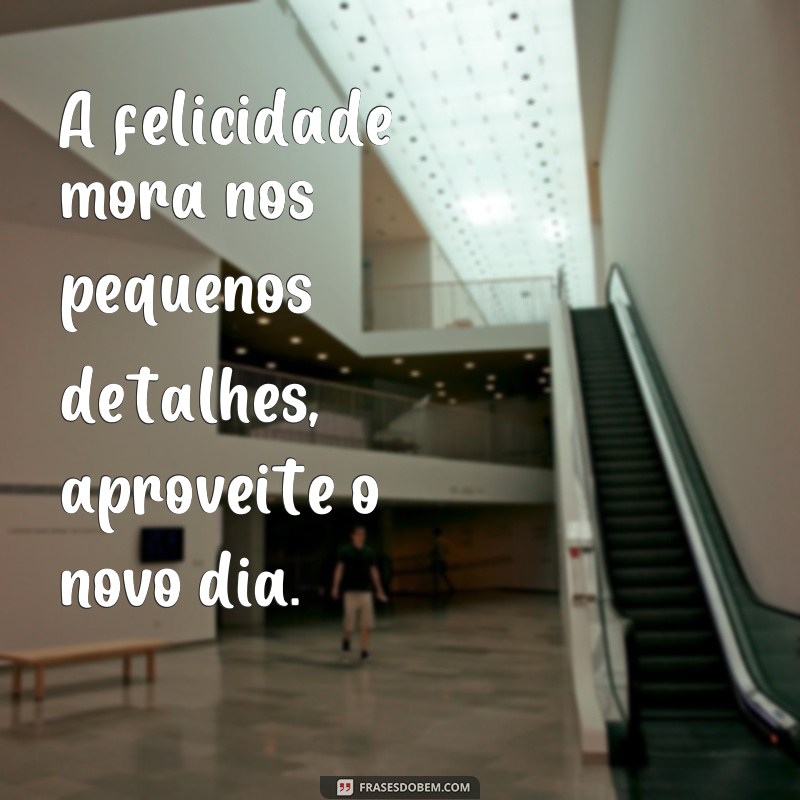 Descubra as melhores frases para começar o dia com motivação: Hoje é um novo dia! 