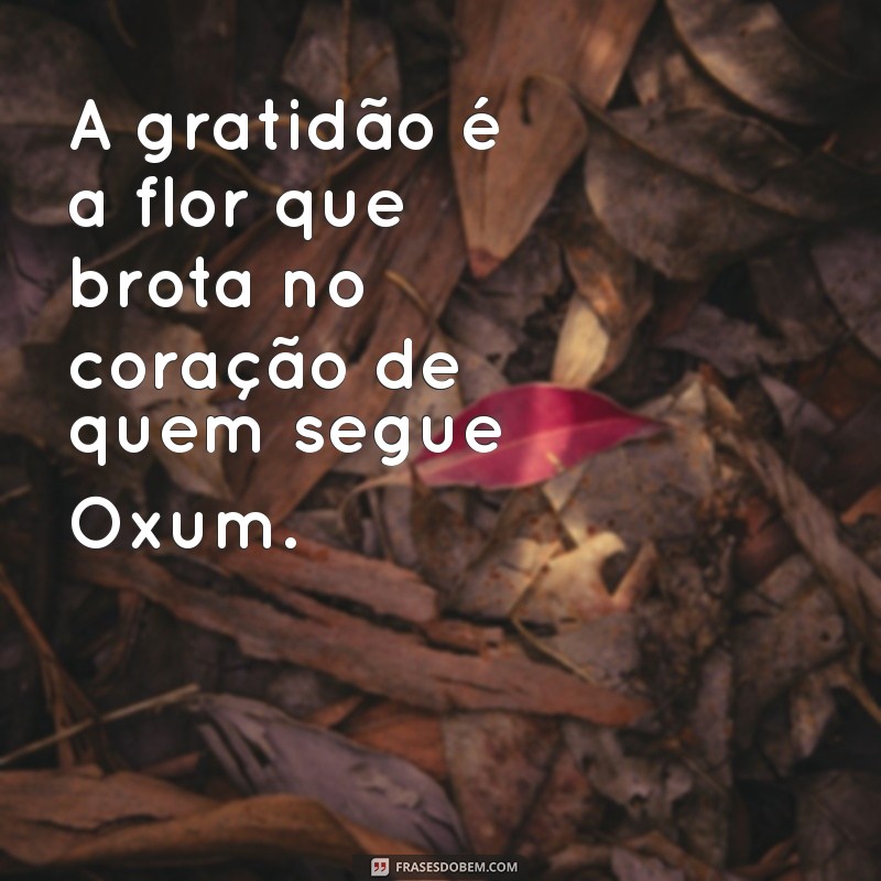 Frases Inspiradoras de Oxum para Tumblr: Sabedoria e Beleza em Palavras 